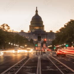 Government Government